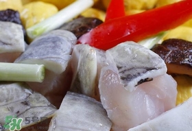 鱷魚肉有刺嗎？鱷魚肉有什么功效