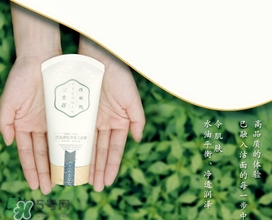 百雀羚三生花洗面奶多少錢(qián)？百雀羚三生花洗面奶價(jià)格