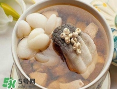 鱷魚肉燉湯要去皮嗎？鱷魚肉煲湯新鮮的好還是干的好