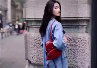 dissona貓咪包正品多少錢(qián)？迪桑娜貓咪包專柜價(jià)格