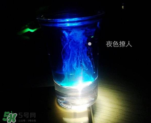 僵尸雞尾酒配方是什么？僵尸雞尾酒配方做法