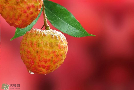 孕婦吃荔枝上火了怎么辦？孕婦吃荔枝對胎兒好嗎