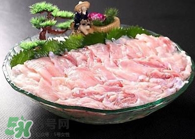 鱷魚肉是發(fā)物嗎？鱷魚肉是不是發(fā)物