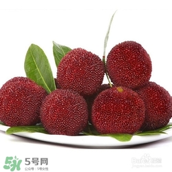 楊梅怎么吃好吃？楊梅怎么吃不酸？