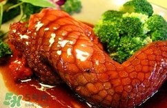 鱷魚肉是寒性的嗎？ 鱷魚肉是寒性還是溫性？