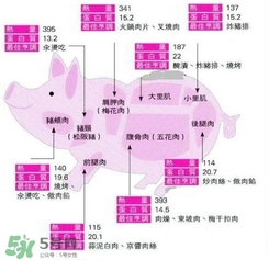 里脊肉是哪個(gè)部位？里脊肉是哪里的肉