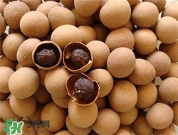 龍眼和桂圓哪個補血？龍眼和桂圓的功效