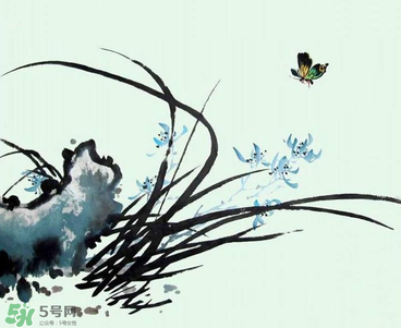 空谷幽蘭是什么書？空谷幽蘭講的是什么？