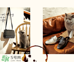 belle是什么牌子？百麗是哪個國家的品牌？