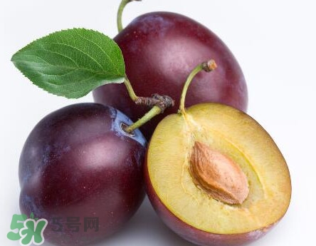 三華李可以放多久？三華李可以冷藏嗎？