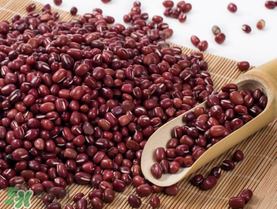 紅豆粽子孕婦可以吃嗎？孕婦可以吃紅豆粽子嗎？