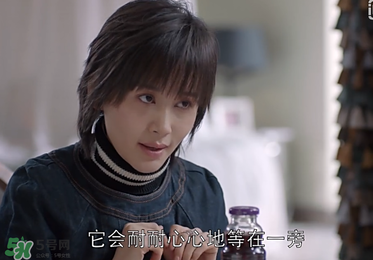 蒼蠅粉是什么意思？蒼蠅粉是什么東西？