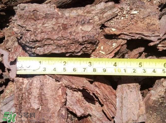 安哥拉樹皮多少錢一斤？安哥拉樹皮價(jià)格