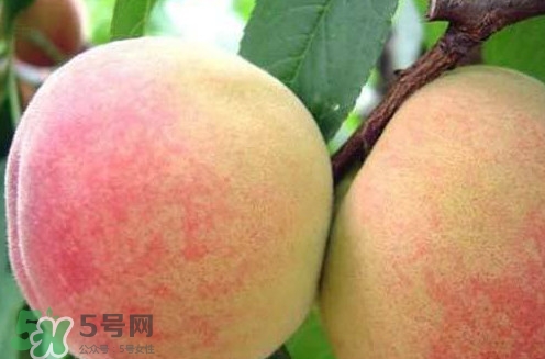 陽山水蜜桃?guī)自路萆鲜?？陽山水蜜桃上市時間