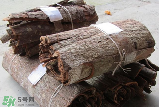 安哥拉樹皮有依賴性嗎？安哥拉樹皮有沒有依賴性？