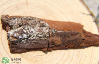 安哥拉樹皮有依賴性嗎？安哥拉樹皮有沒有依賴性？