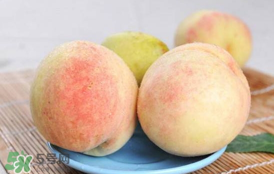 陽山水蜜桃多少錢一斤？無錫陽山水蜜桃價(jià)格