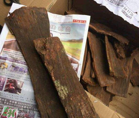 安哥拉樹皮能天天吃嗎？安哥拉樹皮天天吃可以嗎？