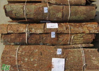 安哥拉樹皮能天天吃嗎？安哥拉樹皮天天吃可以嗎？