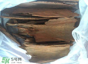 安哥拉樹皮能天天吃嗎？安哥拉樹皮天天吃可以嗎？