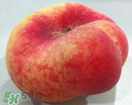 盤桃是蟠桃嗎？盤桃和蟠桃一樣嗎