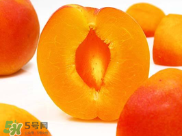 杏子幾月成熟？杏子什么時候成熟？