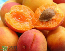 杏子幾月成熟？杏子什么時候成熟？