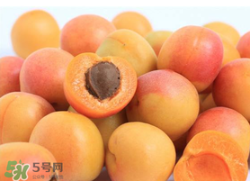 杏子一天吃幾個？杏子一次可以吃多少？