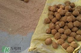 松花蛋是怎么做出來的？松花蛋的家庭腌制方法