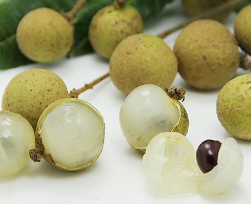 龍眼和桂圓是一種東西嗎？龍眼和桂圓的區(qū)別