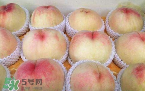 無錫水蜜桃多少錢一斤2017？無錫水蜜桃什么時(shí)候上市