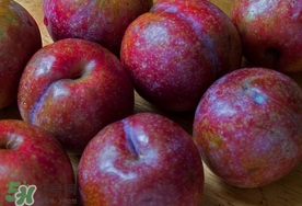 雙華李幾月可以吃？雙華李什么季節(jié)成熟