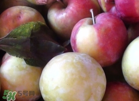 南華李什么時候成熟？南華李和三華李的區(qū)別