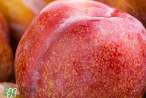 三華李種哪個(gè)品種好？三華李有多少個(gè)品種