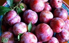 雙華李怎么吃不酸？雙華李不能和什么一起吃？