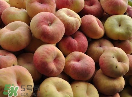 盤桃是蟠桃嗎？盤桃和蟠桃一樣嗎