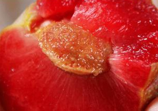 三華李可以和香蕉一起吃嗎？香蕉能和三華李一起吃嗎