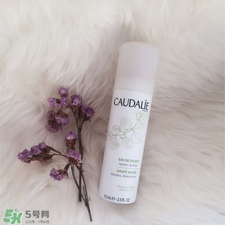 歐緹麗葡萄籽噴霧多少錢?歐緹麗葡萄籽噴霧專柜價(jià)格 歐緹麗葡萄籽噴霧多少錢?歐緹麗葡萄籽噴霧專柜價(jià)格