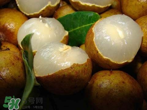 龍眼和桂圓是一種東西嗎？龍眼和桂圓的區(qū)別