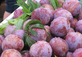 雙華李怎么吃不酸？雙華李不能和什么一起吃？