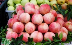 奉化水蜜桃什么時候上市？奉化水蜜桃上市時間