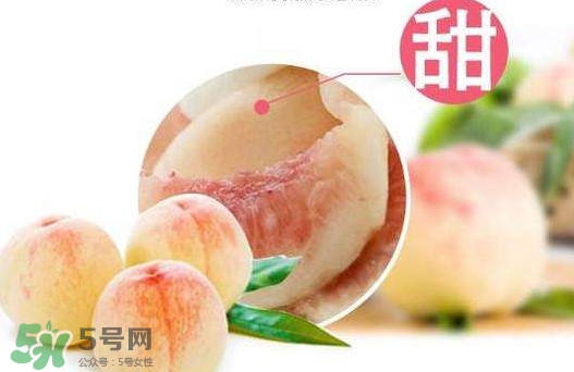 陽山水蜜桃多少錢一斤？無錫陽山水蜜桃價(jià)格