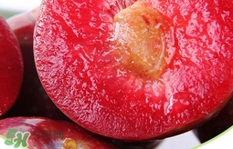 雙華李幾月可以吃？雙華李什么季節(jié)成熟