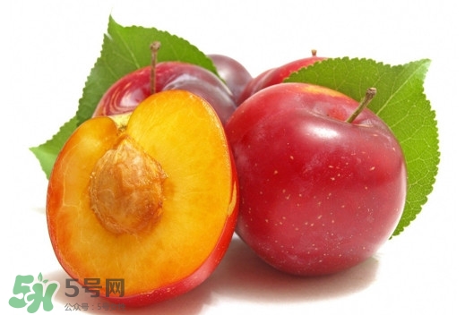 三華李可以放多久？三華李可以冷藏嗎？