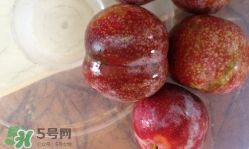 三華李是寒性還是熱性水果？三華李是涼性水果嗎