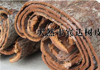 安哥拉樹皮能天天吃嗎？安哥拉樹皮天天吃可以嗎？