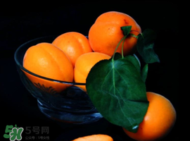 杏子可以和芒果一起吃嗎？吃完杏子可以吃芒果嗎？