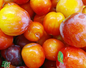 腌李子可以放多久？腌李子吃不完怎么處理？