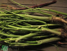 莧菜桿能吃嗎？莧菜桿子可以吃嗎？