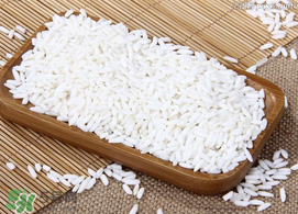 一斤糯米放多少曲酒？一斤糯米放幾克酒曲？